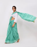 Load image into Gallery viewer, Rajnesa Traditional Half And Half Cotton Mulmul Saree - Mint Green